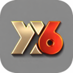 YY6